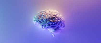 Maßgeschneiderte Inhalte